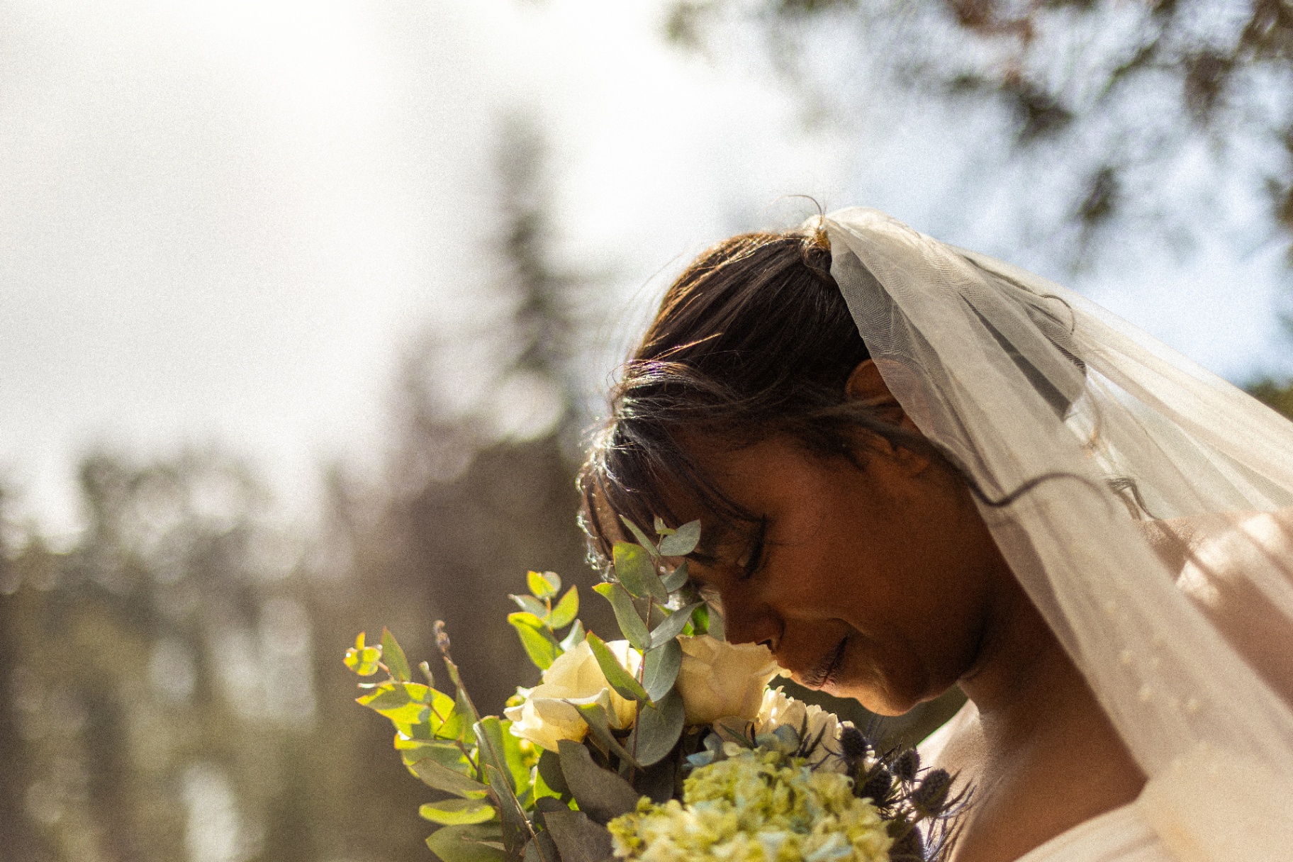 Bouquet & Backlight