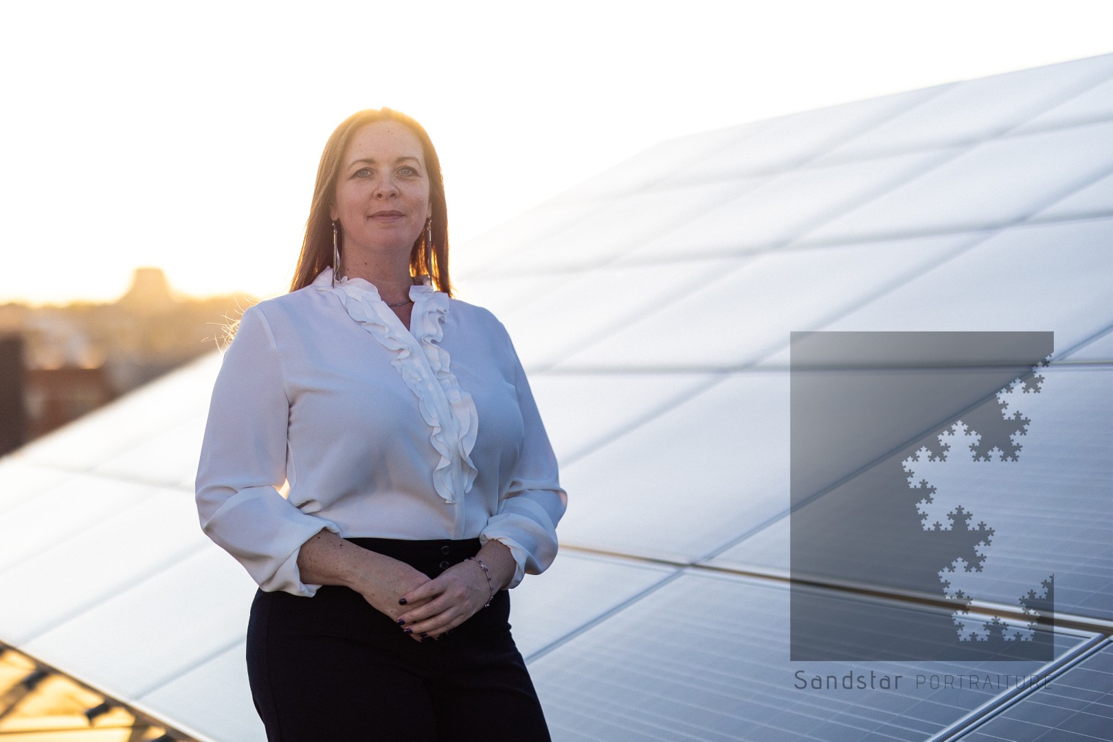 Rooftop — Solar Array